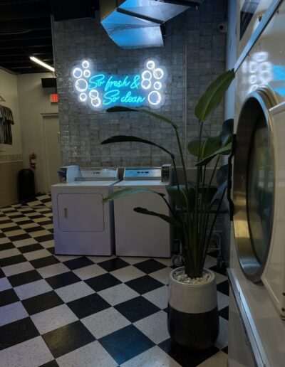 A laundromat interior with a neon sign reading "so fresh & so clean" above washing machines, next to a potted plant.
